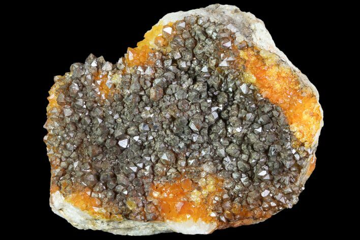 Quartz Cluster with Iron/Manganese Oxide - Diamond Hill, SC #81309